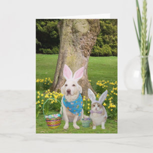 Some Bunnies Love You! Holiday Card