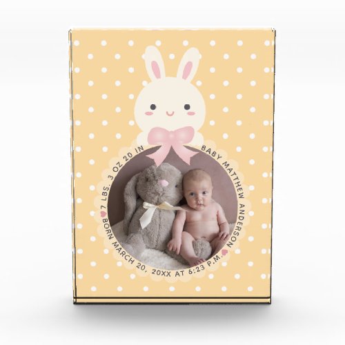 Some Bunny Baby Name and Birth Date Stats Record Photo Block