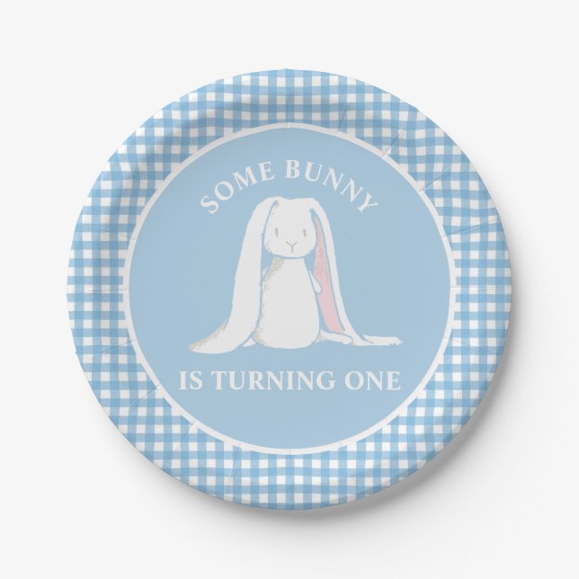 Some Bunny is One blue Gingham Birthday Paper Plates (Front)