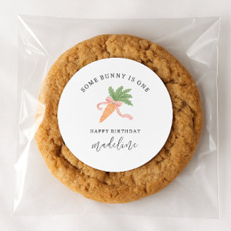 Some bunny is one modern simple 1st birthday classic round sticker