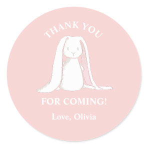 Some Bunny is One Pink Gingham Birthday Paper Plat Classic Round Sticker