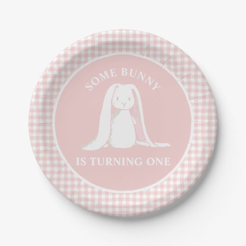 Some Bunny is One Pink Gingham Birthday Paper Plat Paper Plates