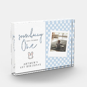 Some Bunny is turning One 1st Birthday Celebration Photo Block