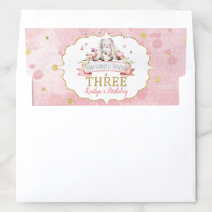 Some Bunny is Turning Three 3rd Birthday Envelope Liner