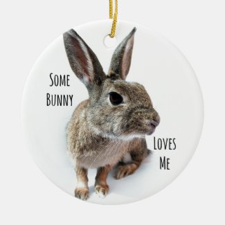 Some Bunny Loves Me Collection Rabbit Easter Ceramic Ornament