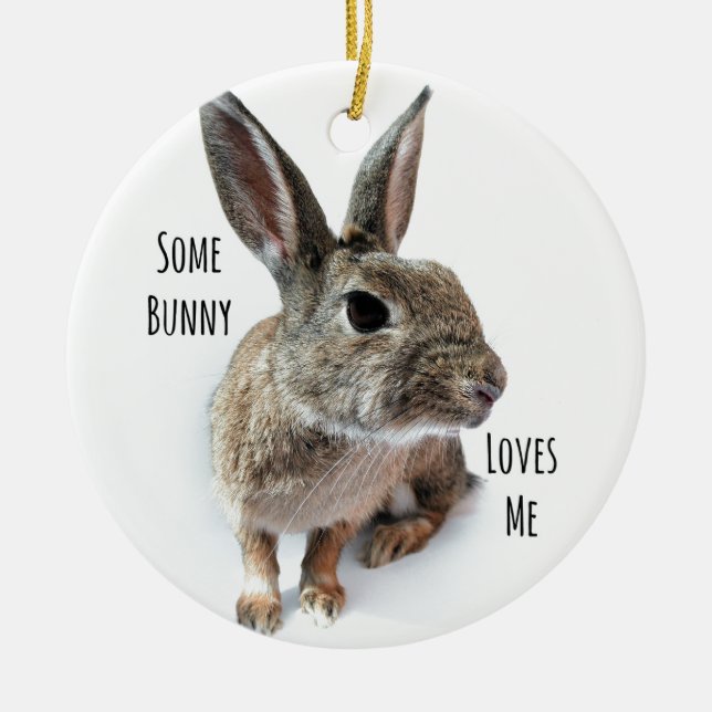Some Bunny Loves Me Collection Rabbit Easter Ceramic Ornament (Front)