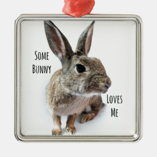 Some Bunny Loves Me Collection Rabbit Easter Metal Ornament