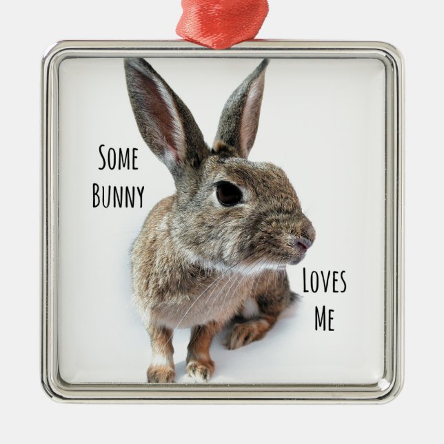 Some Bunny Loves Me Collection Rabbit Easter Metal Ornament (Front)