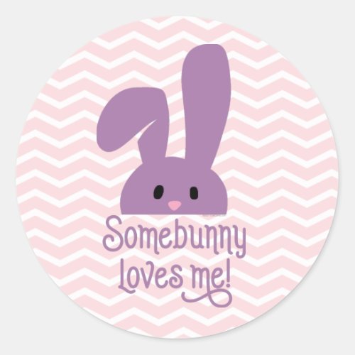 Some Bunny Loves Me Cute Rabbit Easter Classic Round Sticker