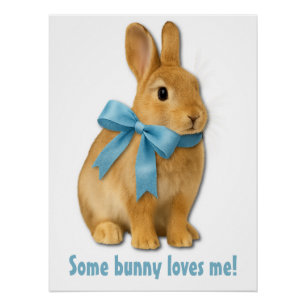 Some bunny loves me! poster