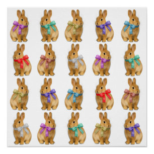 Some bunny loves me! poster