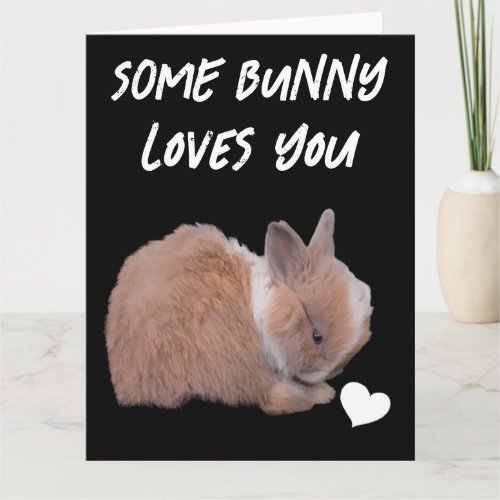 Some Bunny Loves You Card