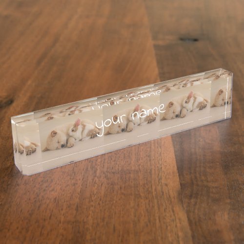 some bunny loves you desk name plate