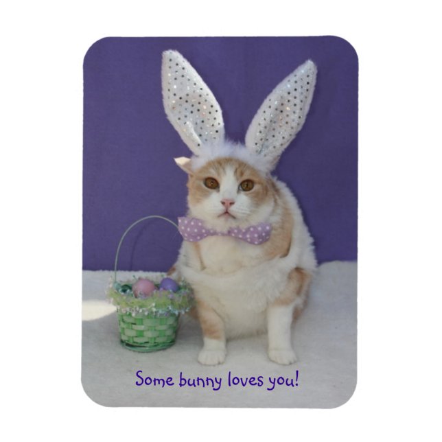 Some Bunny Loves You Easter Kitty Cat Magnet (Vertical)