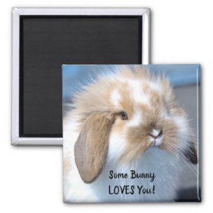 Some Bunny Loves You - Fluffy Holland Lop Magnet
