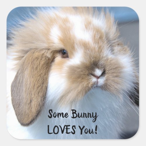 Some Bunny Loves You _ Fluffy Holland Lop Square Sticker