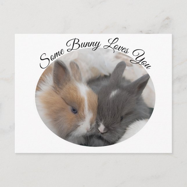 Some Bunny Loves You  Holiday Postcard (Front)