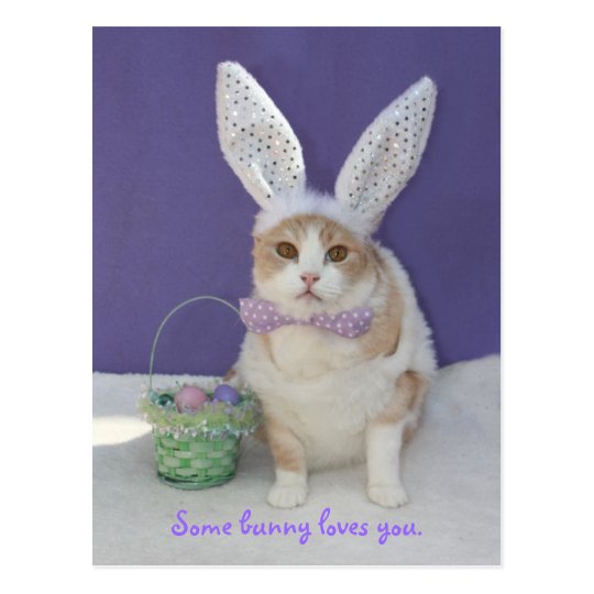 Some bunny loves you. postcard