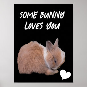 Some Bunny Loves You Poster