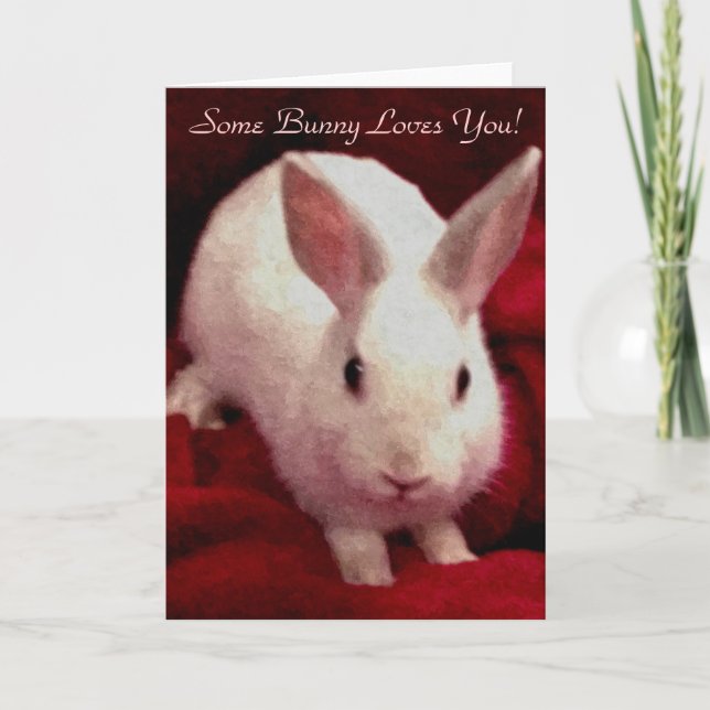Some Bunny Loves You Valentine's Day Card (Front)