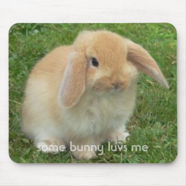 some bunny luvs me mouse pad (Front)