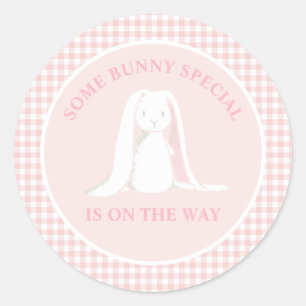 Some Bunny Special is on the way Baby Shower Classic Round Sticker