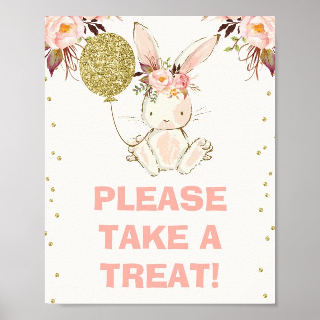 Some Bunny Themed Birthday Party Sign (Front)