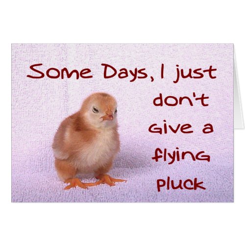 Some Days I just dont give a flying pluck