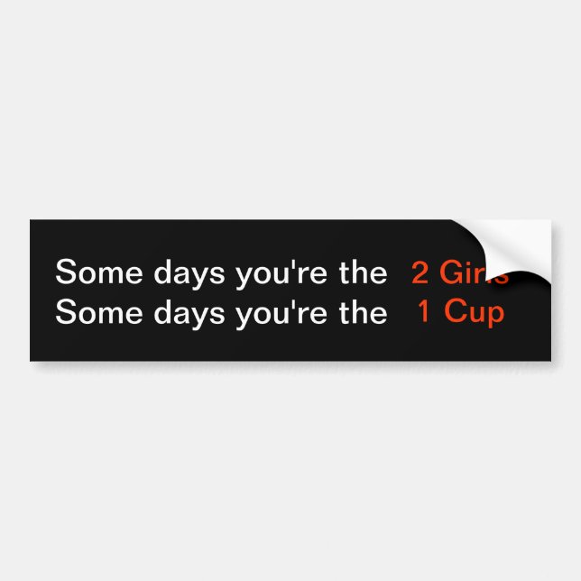 Some days you're the 2 Girls...bumper sticker (Front)