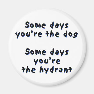 Some days you're the dog magnet