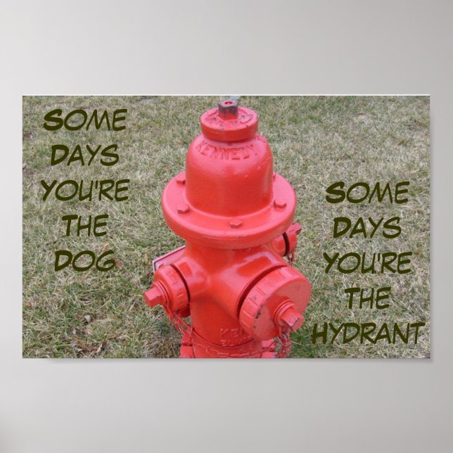 Some Days You're The Dog, Some Days The Hydrant Poster (Front)