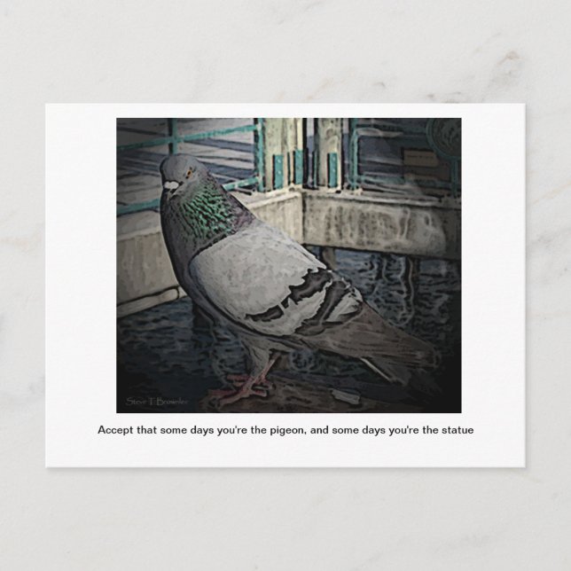 Some Days You're the Pigeon Postcard (Front)