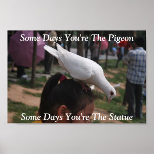 Some Days You're The Pigeon...Statue Poster