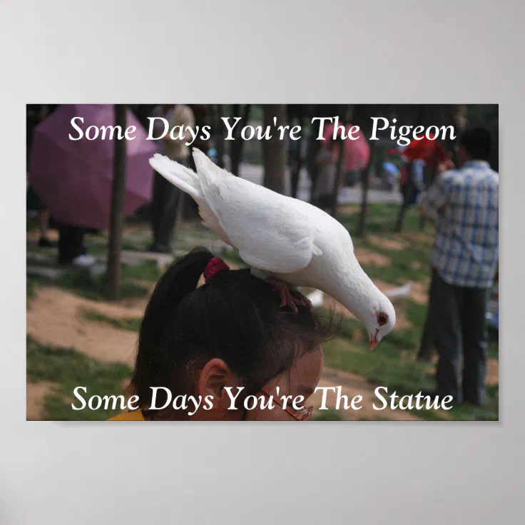 Some Days You're The Pigeon...Statue Poster | Zazzle