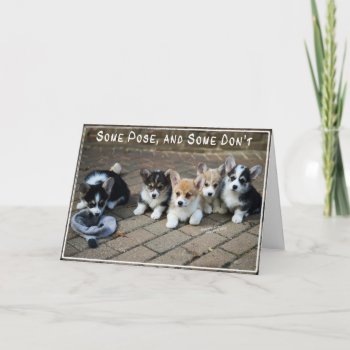 Some Pose  Some Don't ~ Corgi Puppies In A Row Card by woodlandesigns at Zazzle