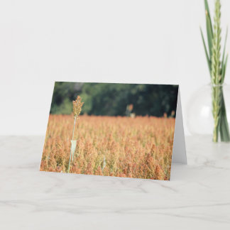 Some Reach Greater Heights Card