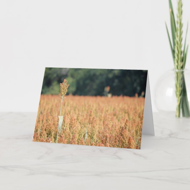 Some Reach Greater Heights Card (Front)