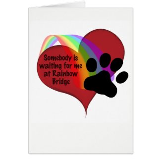 Somebody is Waiting for Me at Rainbow Bridge Cat Card