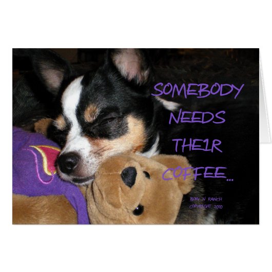 Somebody Needs Coffee Chihuahua Dog Cards (Front Horizontal)