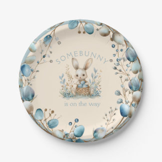Somebunny is on the Way Paper Plates