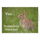 Somebunny loves you! (Front Horizontal)
