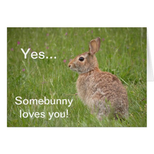 Somebunny loves you! cards (Front Horizontal)
