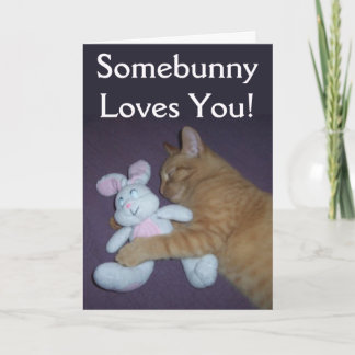 Somebunny Loves You Cat Easter Card