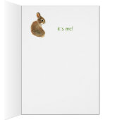 Somebunny Loves You, Rabbit, Bunny Cards (Inside (Right))