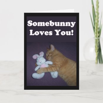 Somebunny Loves You! Valentine Holiday Card by Victoreeah at Zazzle