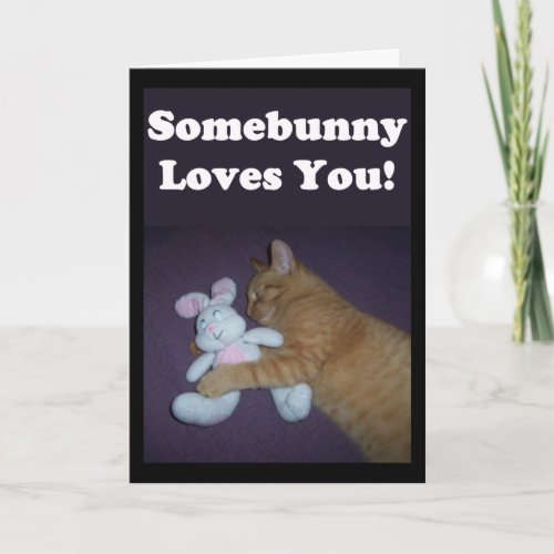 Somebunny Loves You Valentine Holiday Card