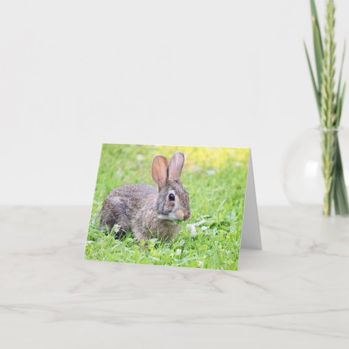 Somebunny to Love Note Card