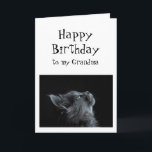 Someone I look up to Grandma Birthday Cat Fun Card<br><div class="desc">Someone I look up or admire to Grandma Birthday Animal Humor  There's plenty of room to add your own message and let them know how you feel</div>