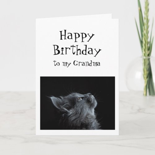 Someone I look up to Grandma Birthday Cat Fun Card