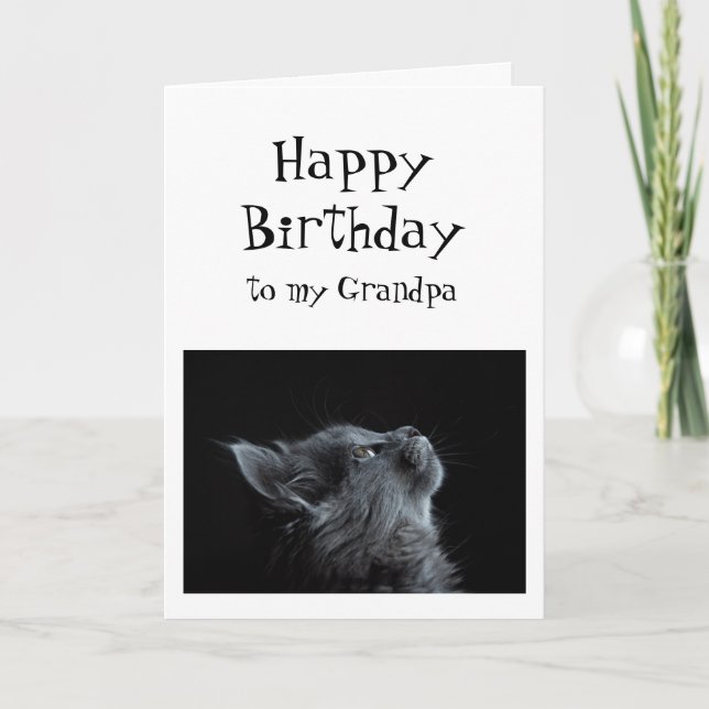 Someone I look up to Grandpa Birthday Cat Fun Card (Front)